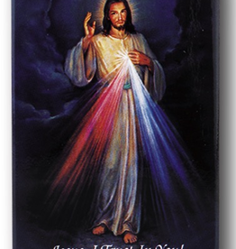 WJ Hirten Divine Mercy Medal Necklace w/ Prayer Card (20Ì¢‰âÂå Stainless Steel Chain)