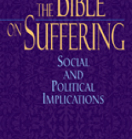 Paulist Press The Bible on Suffering: Social and Political Implications, by Anthony J. Tambasco (paperback)