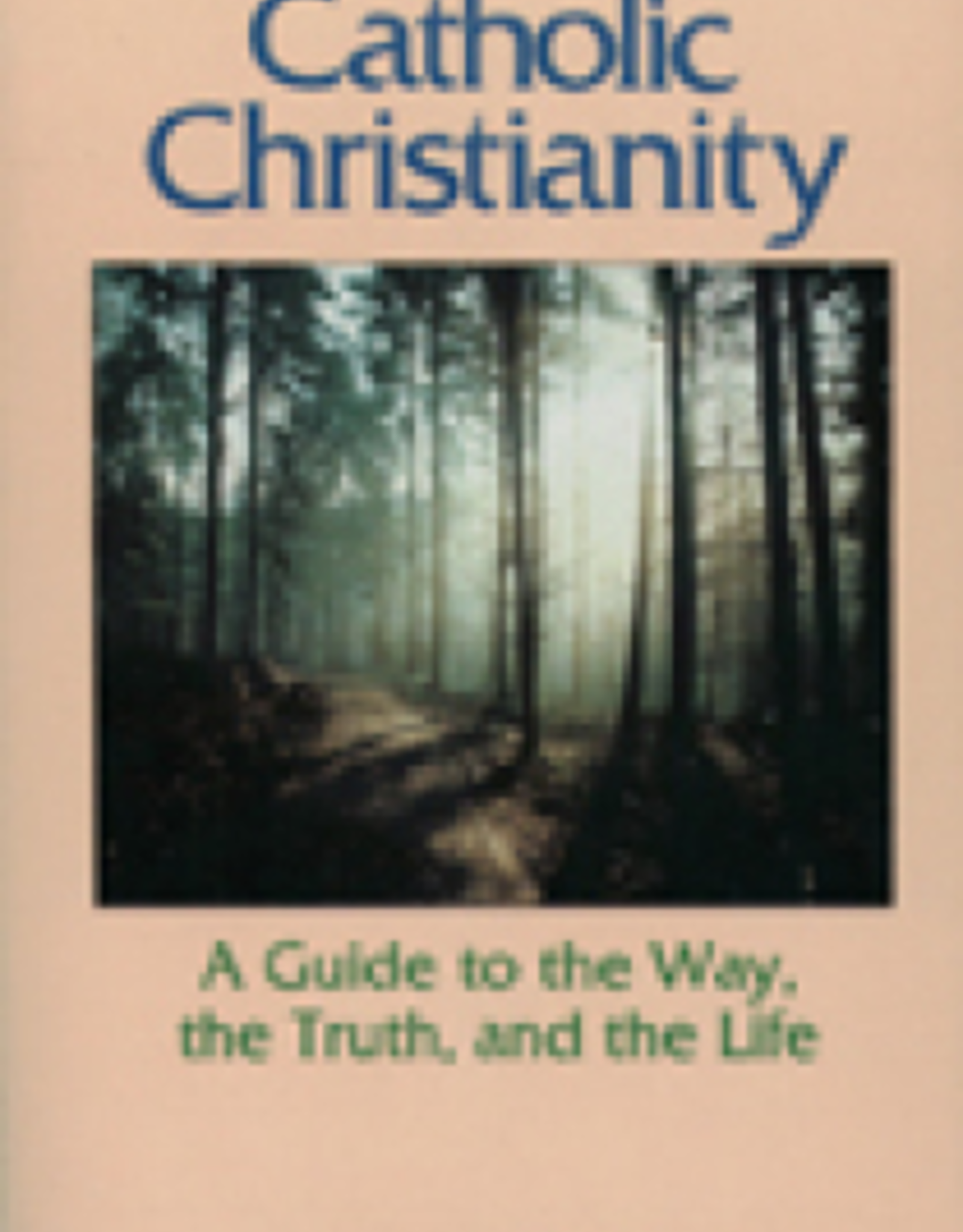 Paulist Press Catholic Christianity:   A Guide to the Way, the Truth, and the Life, by Richard Chilson (paperback)
