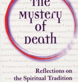 Paulist Press The Mystery of Death, by Jean Donovan (paperback)