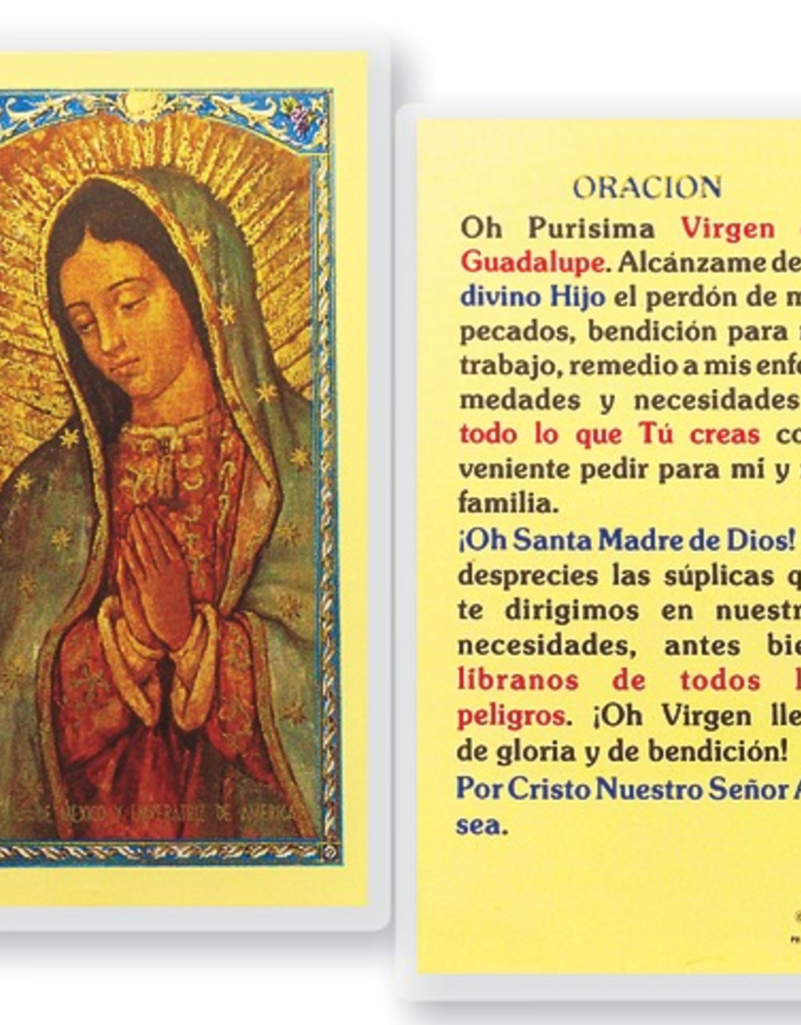 WJ Hirten Oh Purisima Virgen de Guadalupe