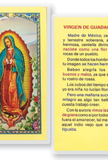 WJ Hirten Virgen de Guadalupe Madre