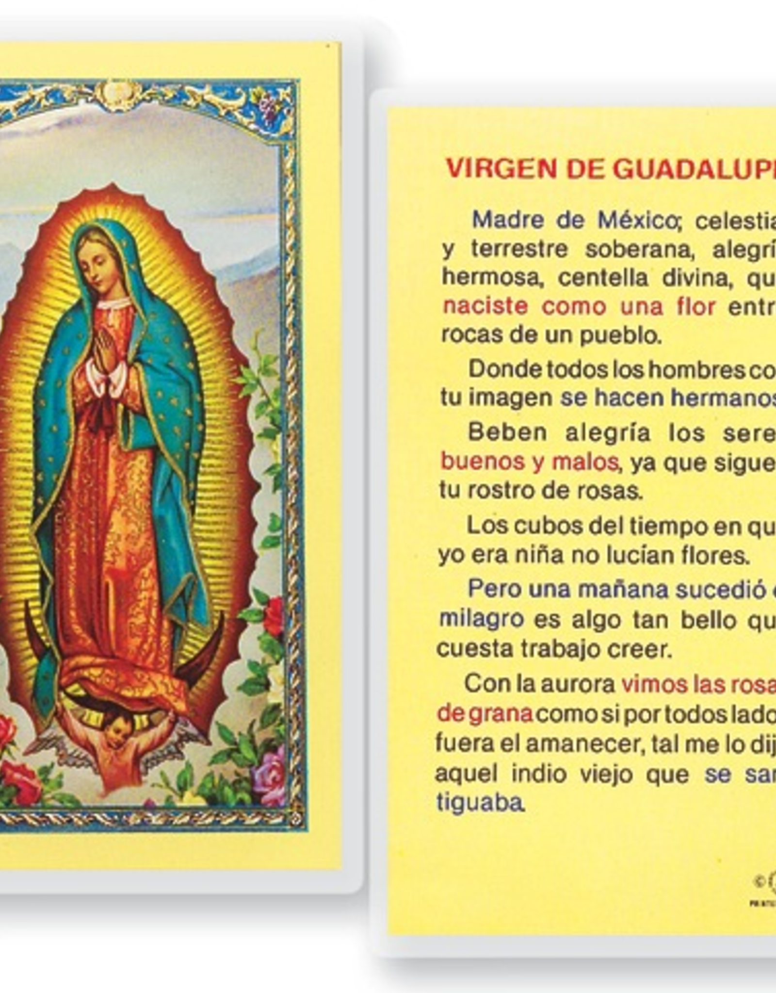 WJ Hirten Virgen de Guadalupe Madre