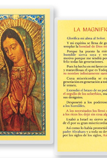 WJ Hirten La Magnifica-Virgin Guadalupe