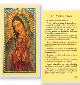 WJ Hirten La Magnifica-Virgin Guadalupe