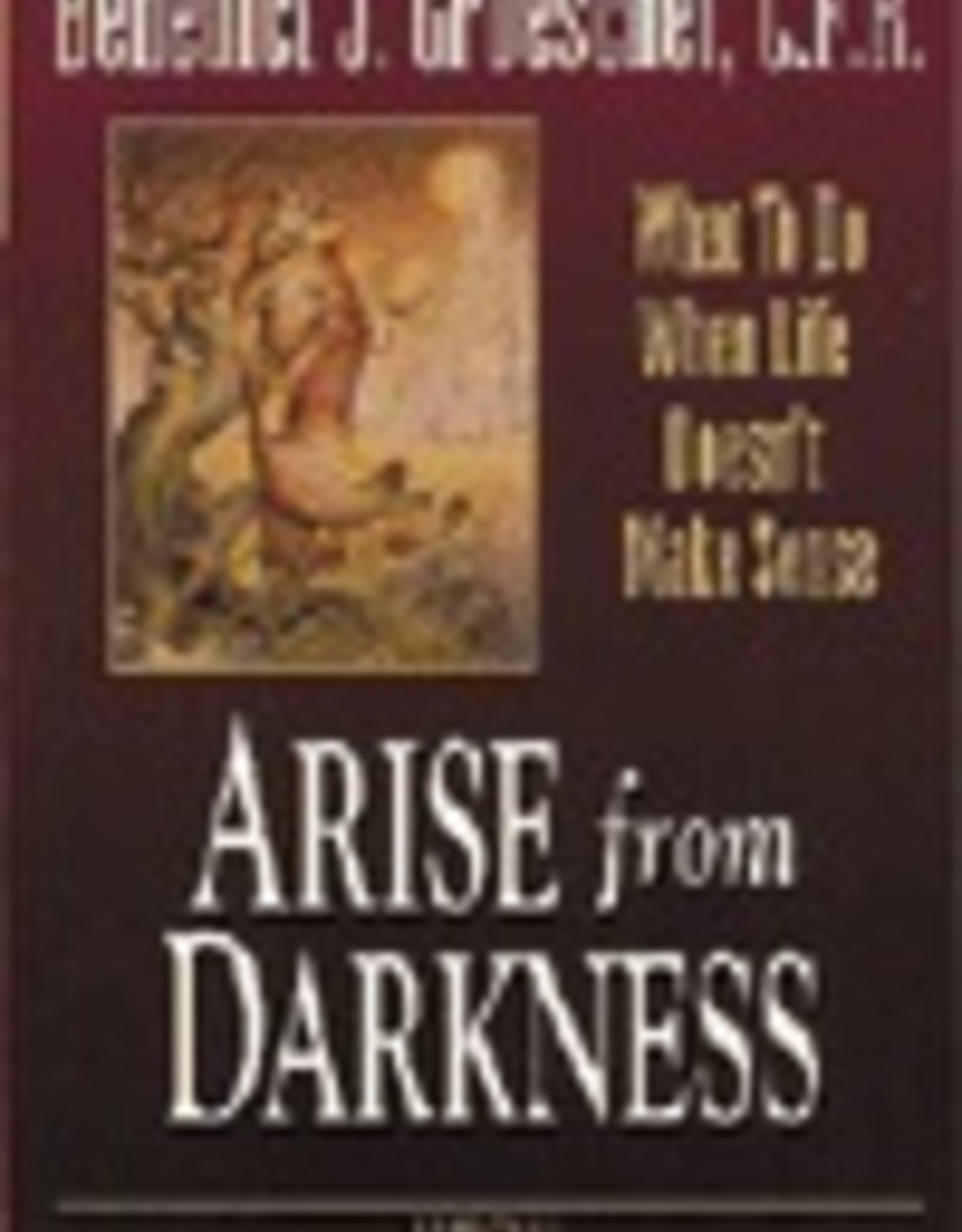 Ignatius Press Arise from Darkness:  What to Do When Life Doesn't Make Sense, by Fr. Benedict Groeschel (paperback)