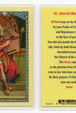 WJ Hirten St. David the King Holy Cards