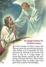 Catholic Book Publishing The Angels, by Rev. Lawrence Lovasik