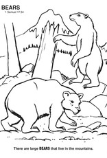 Catholic Book Publishing Animals of the Bible Coloring Book