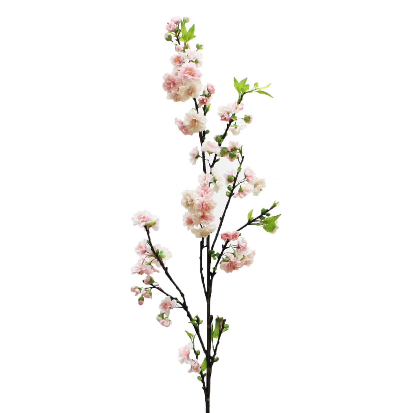 50" CHERRY BLOSSOM PINK