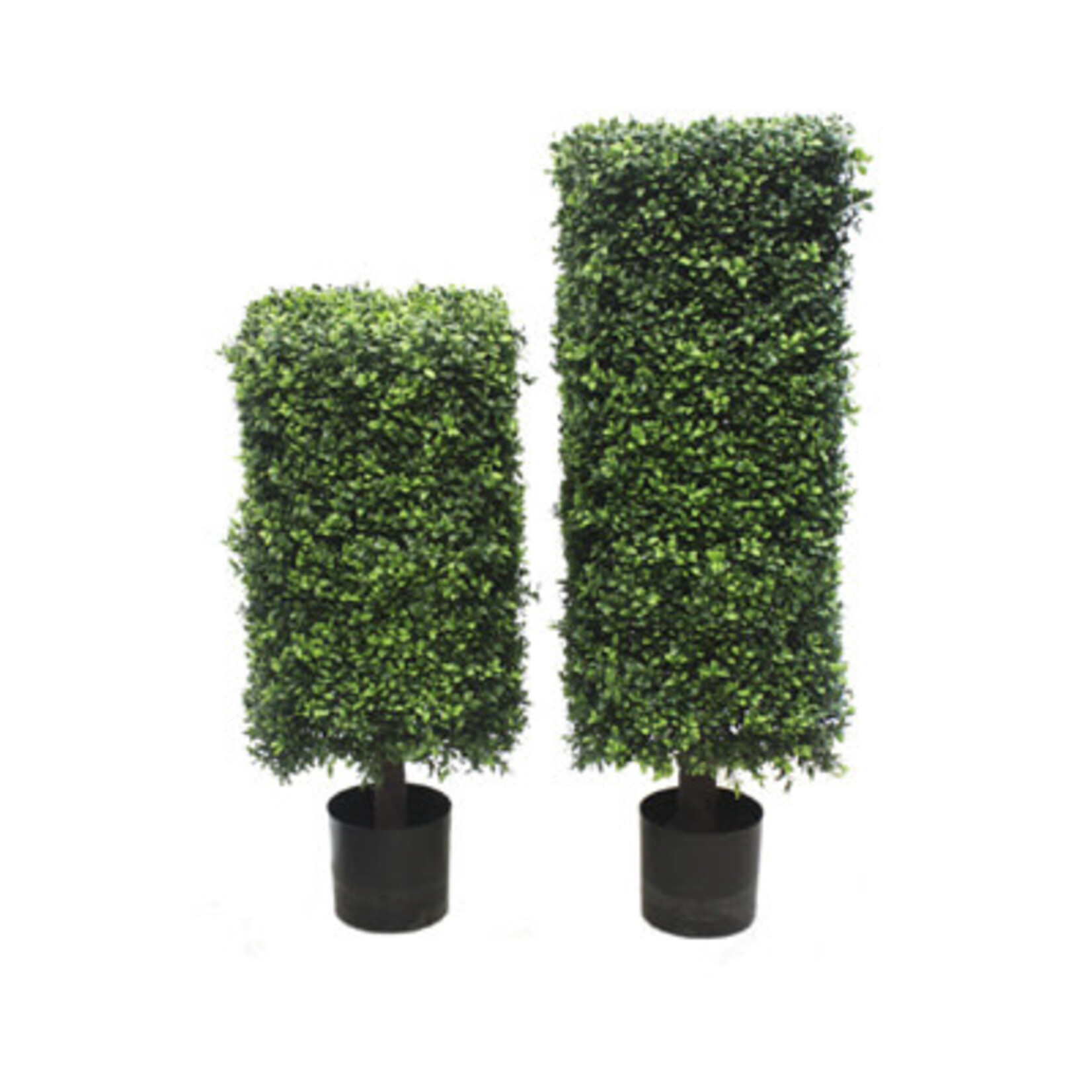 32'' BOXWOOD SQUARE COLUMN TOPIARY GREEN