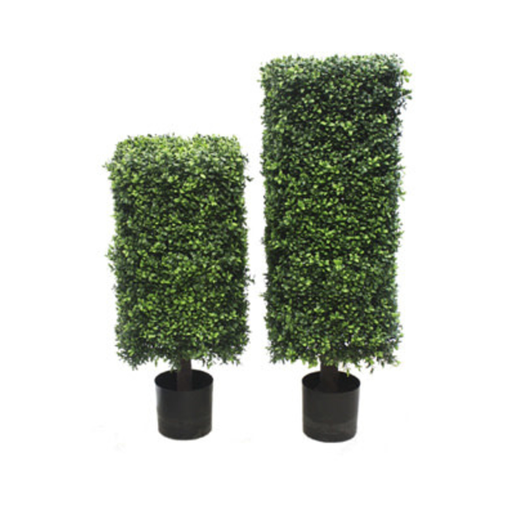 41'' BOXWOOD SQUARE COLUMN TOPIARY GREEN