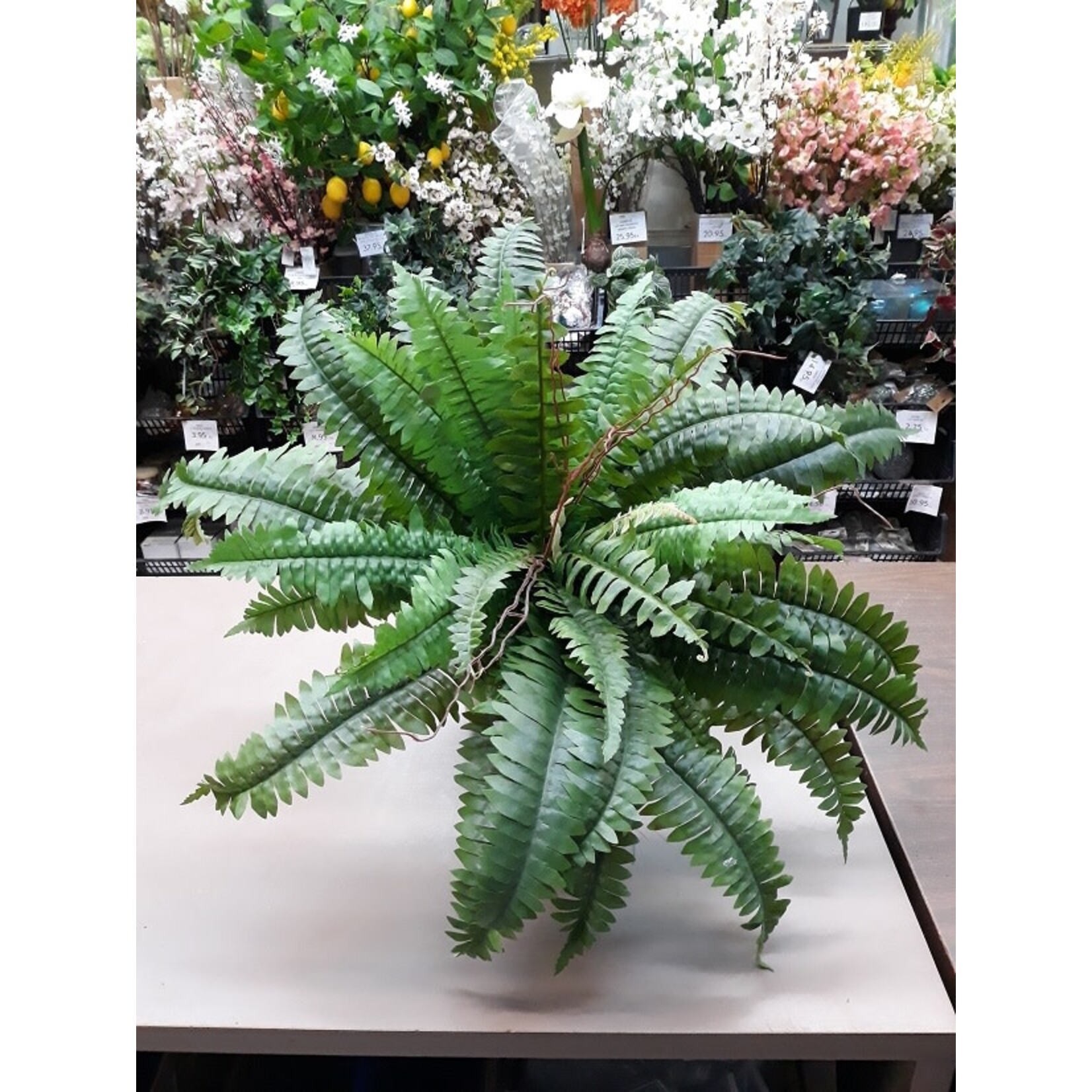 23" BOSTON FERN BUSH GREEN