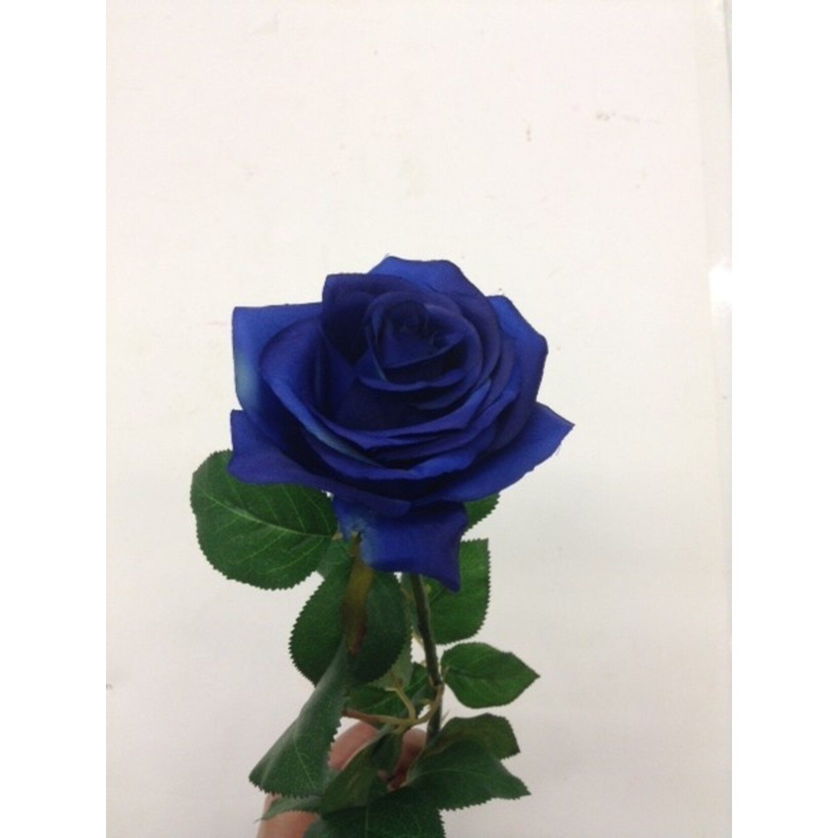 27.5" CONFETTI LG ROSE SPRAY BLUE