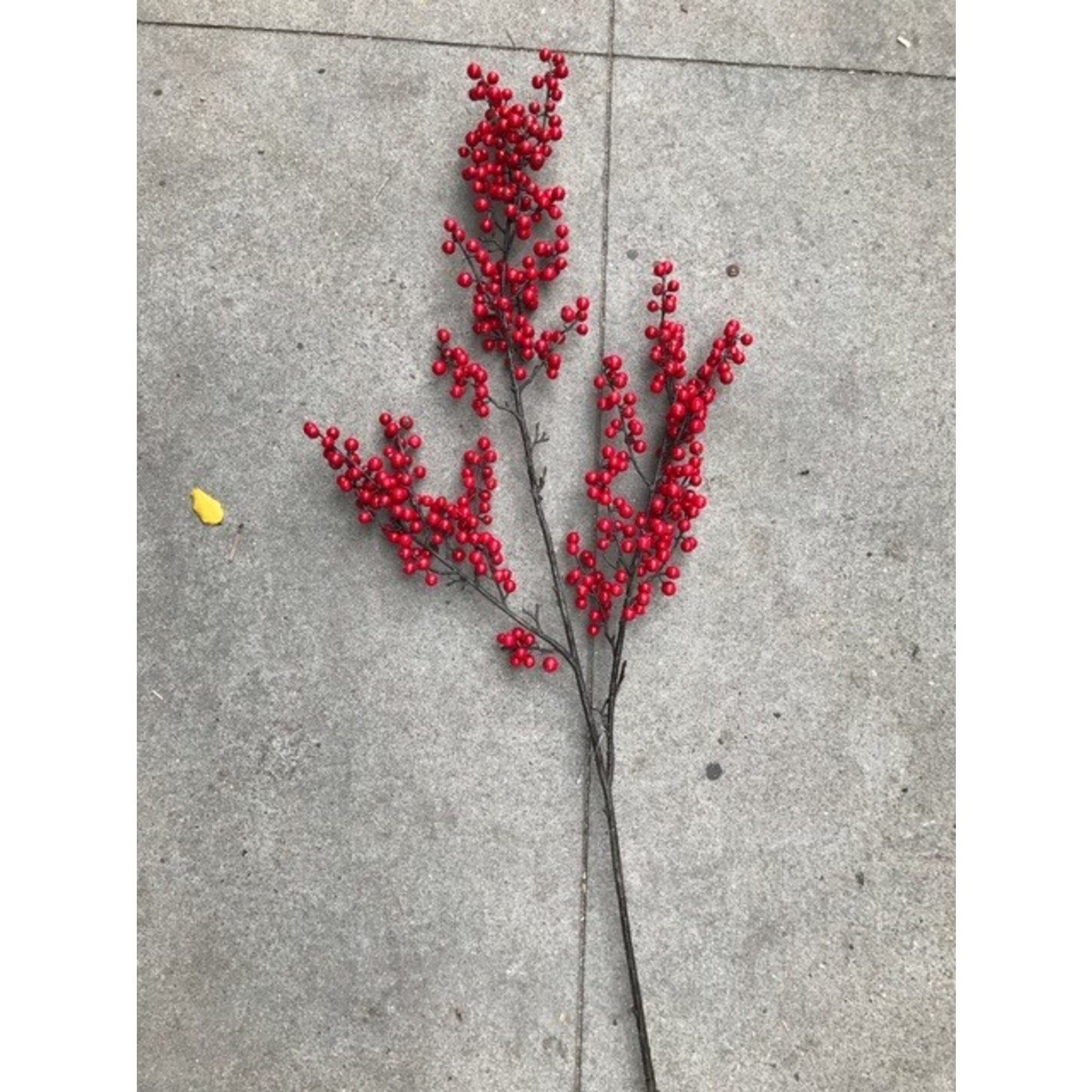 48" BERRY BRANCH RED