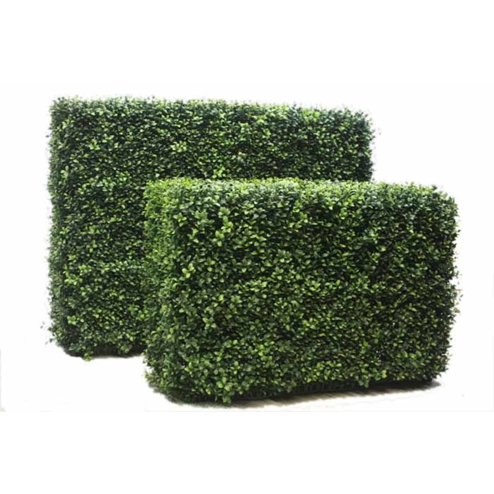 40”LX30”HX12”W BOXWOOD FENCE GREEN