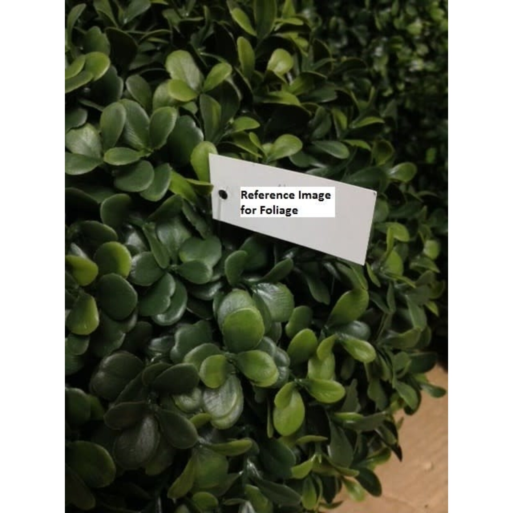 9" BOXWOOD BALL GREEN