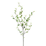 CGE101-GN: 48" PERBERRY LEAF SPRAY GREEN