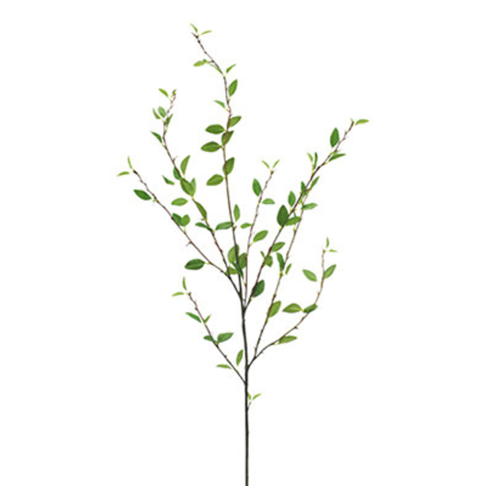 48" PERBERRY LEAF SPRAY GREEN