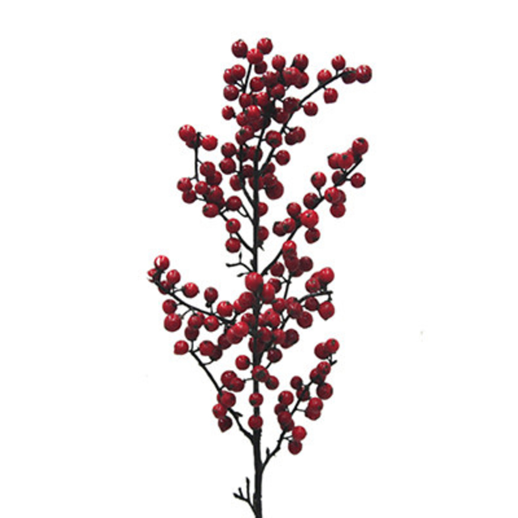 32" BERRY BRANCH RED