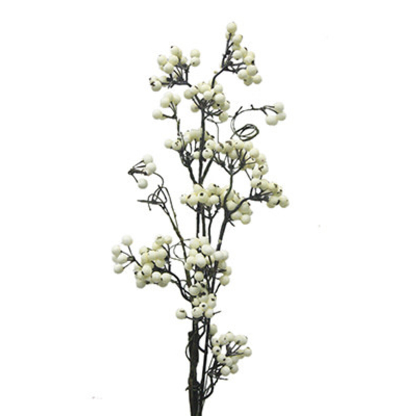 30" NEW EVA BERRY SPRAY CREAM