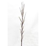 XBE208-CR: 54"ILEX BERRY BRANCH CREAM