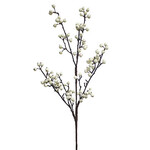 33"BERRY SPRAY WHITE