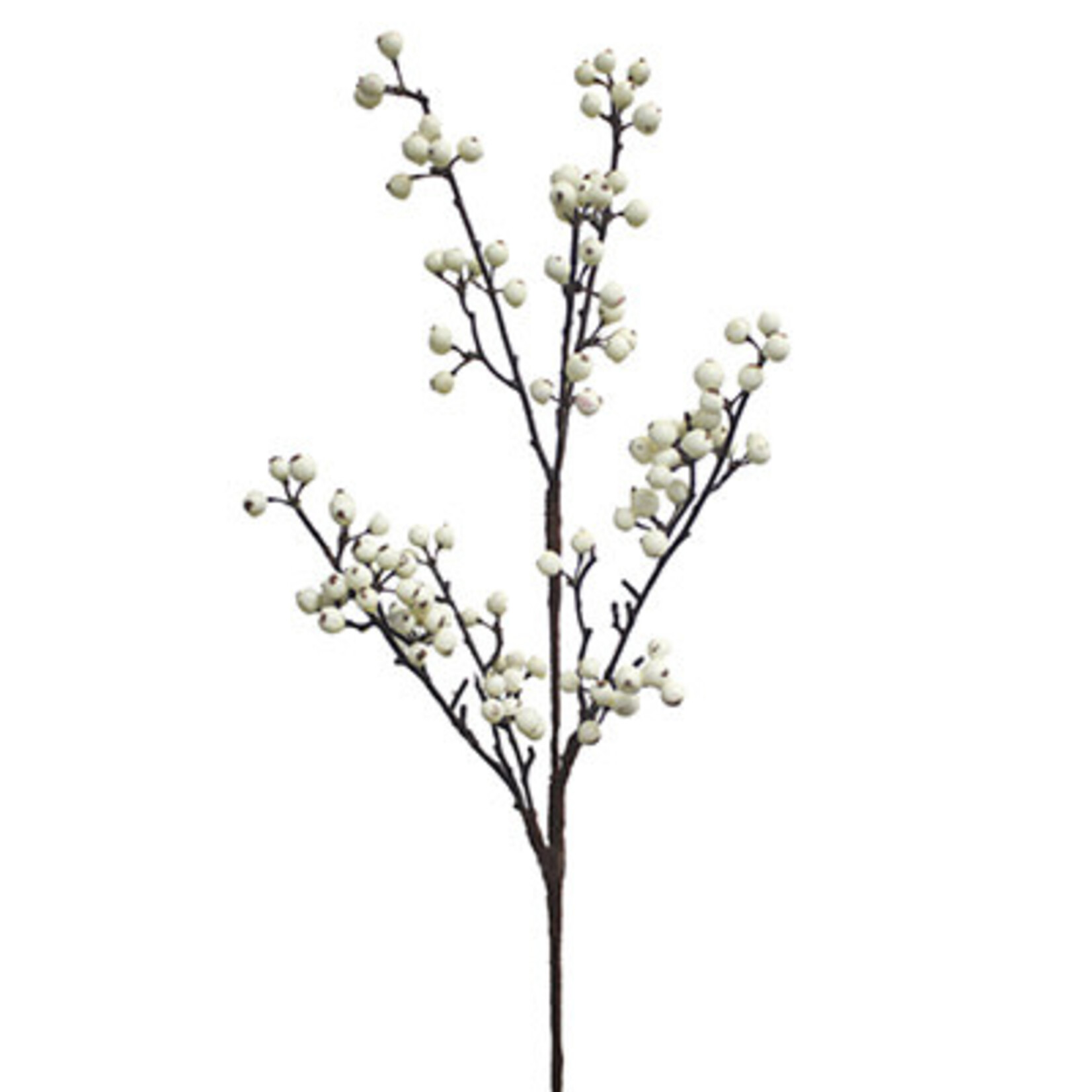 33"BERRY SPRAY WHITE