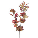 55" MAPLE BRANCH ORANGE