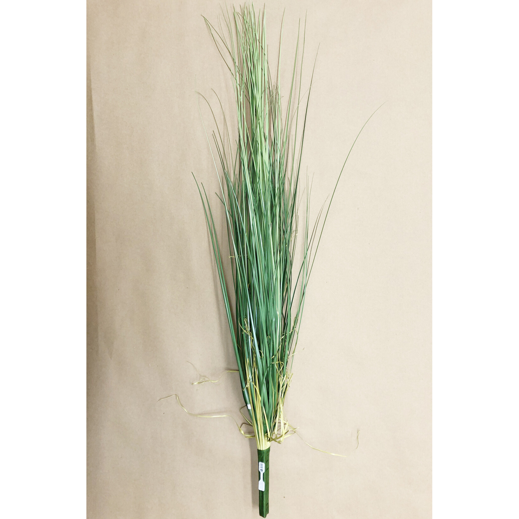 40" ONION GRASS BUSH GREEN TWO TONE