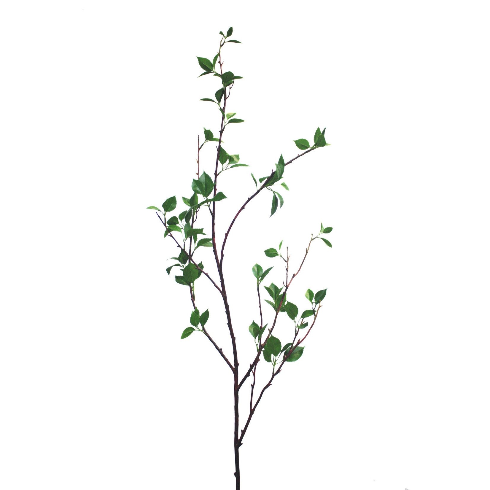 54" BIRCH BRANCH W LEAVES GREEN