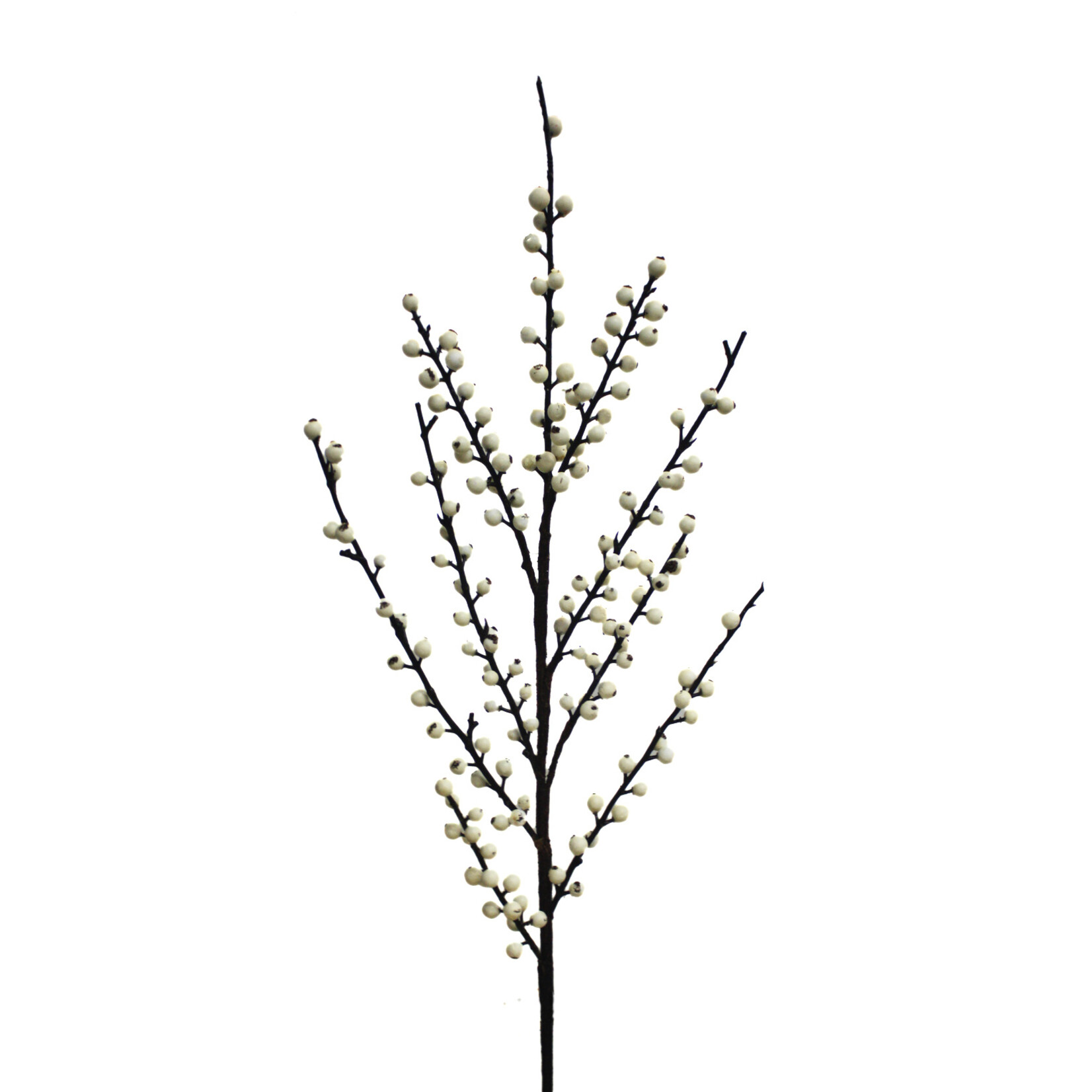 34" BERRY SPRAY WHITE