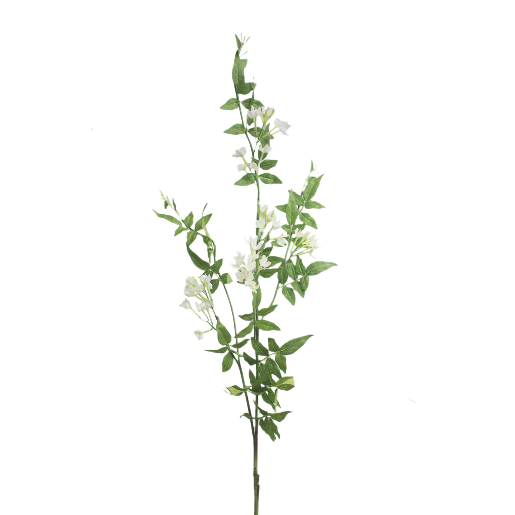 43" JASMINE SPRAY CREAM