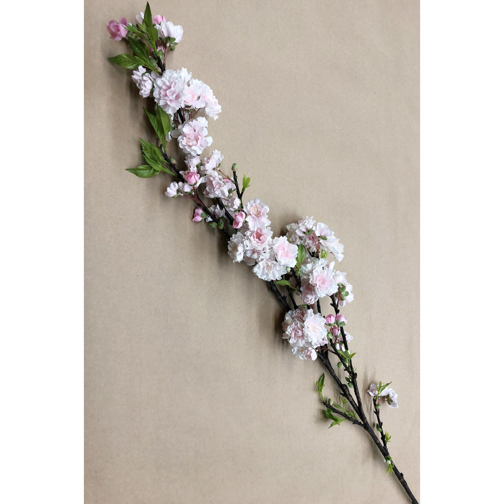50" CHERRY BLOSSOM PINK