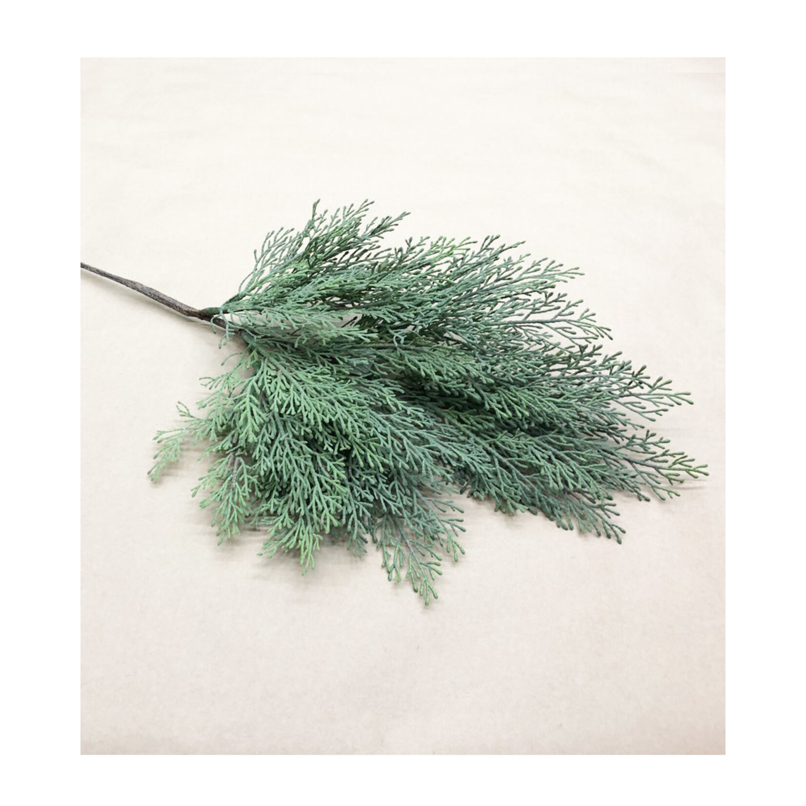 32" CEDAR HANGING STEM GREEN