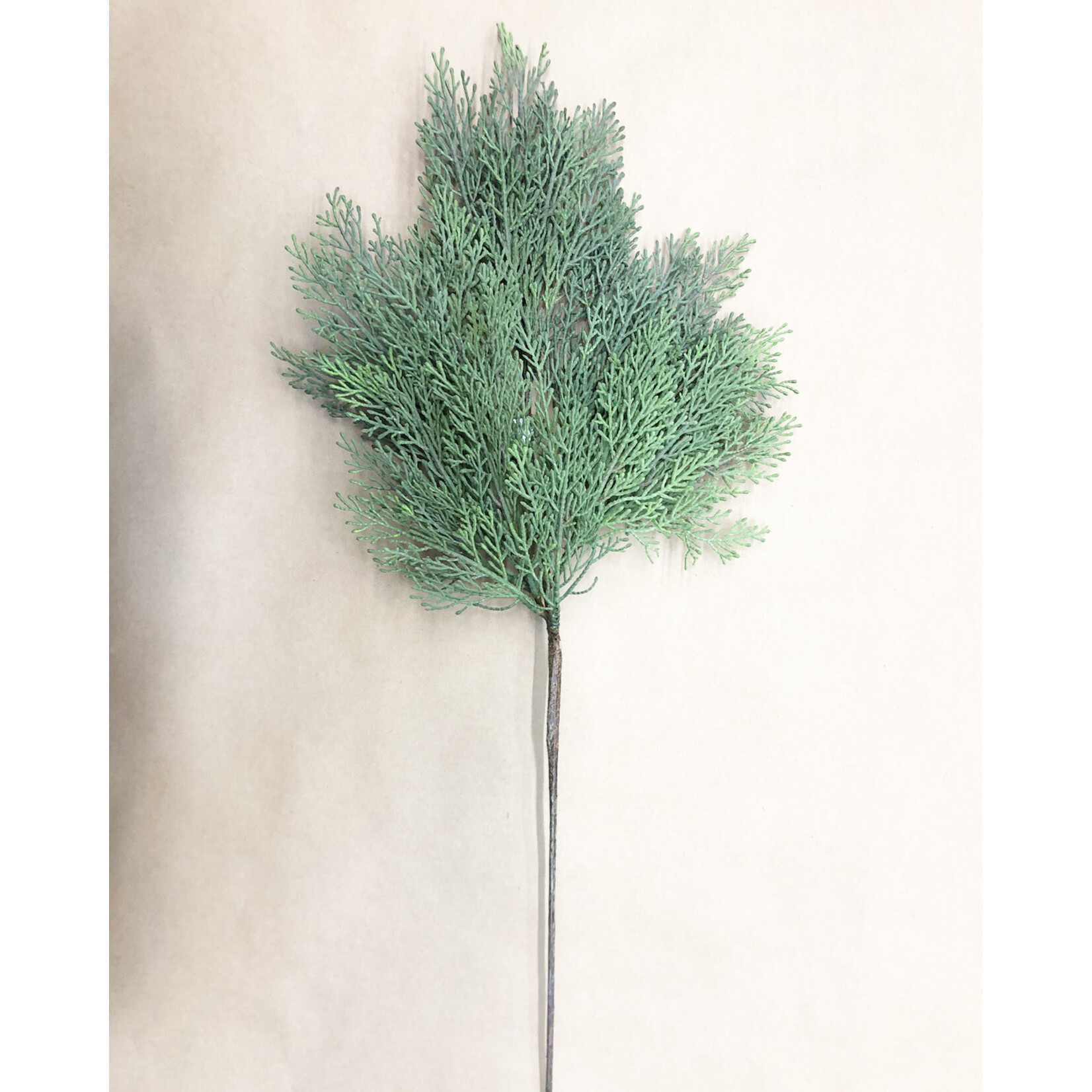 32" CEDAR HANGING STEM GREEN