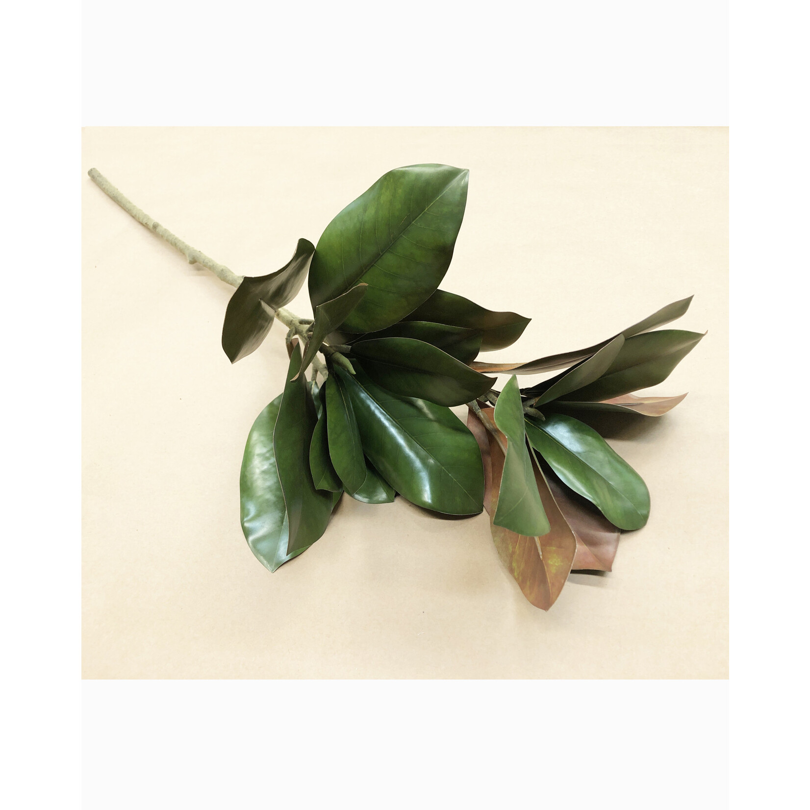 32" MAGNOLIA STEM GREEN