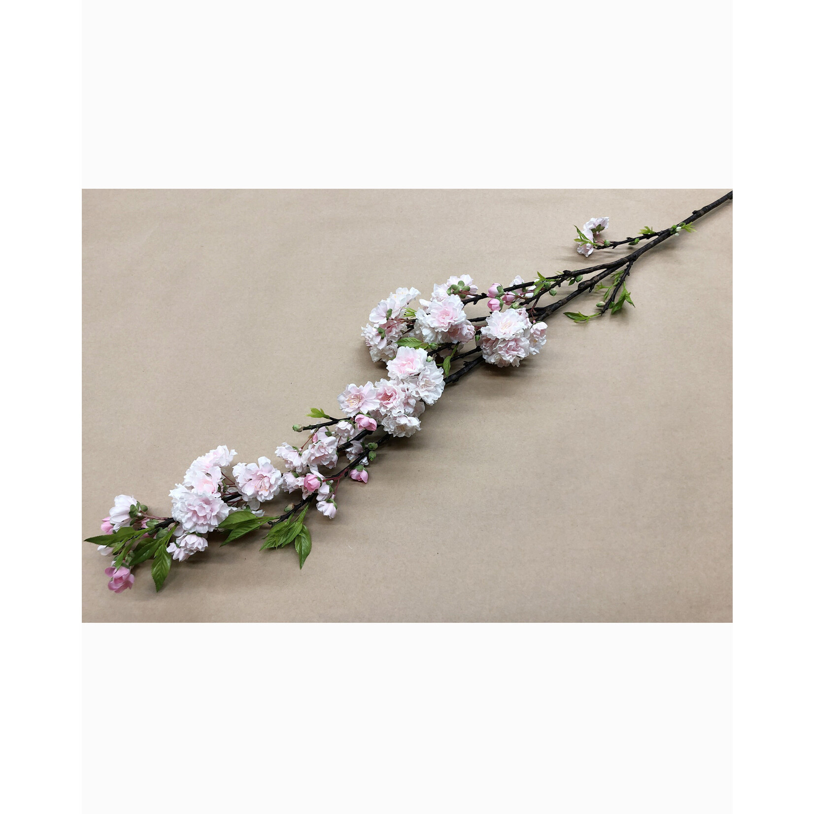 50" CHERRY BLOSSOM PINK