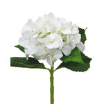 CSH633-WH: 19" HYDRANGEA SPRAY WHITE