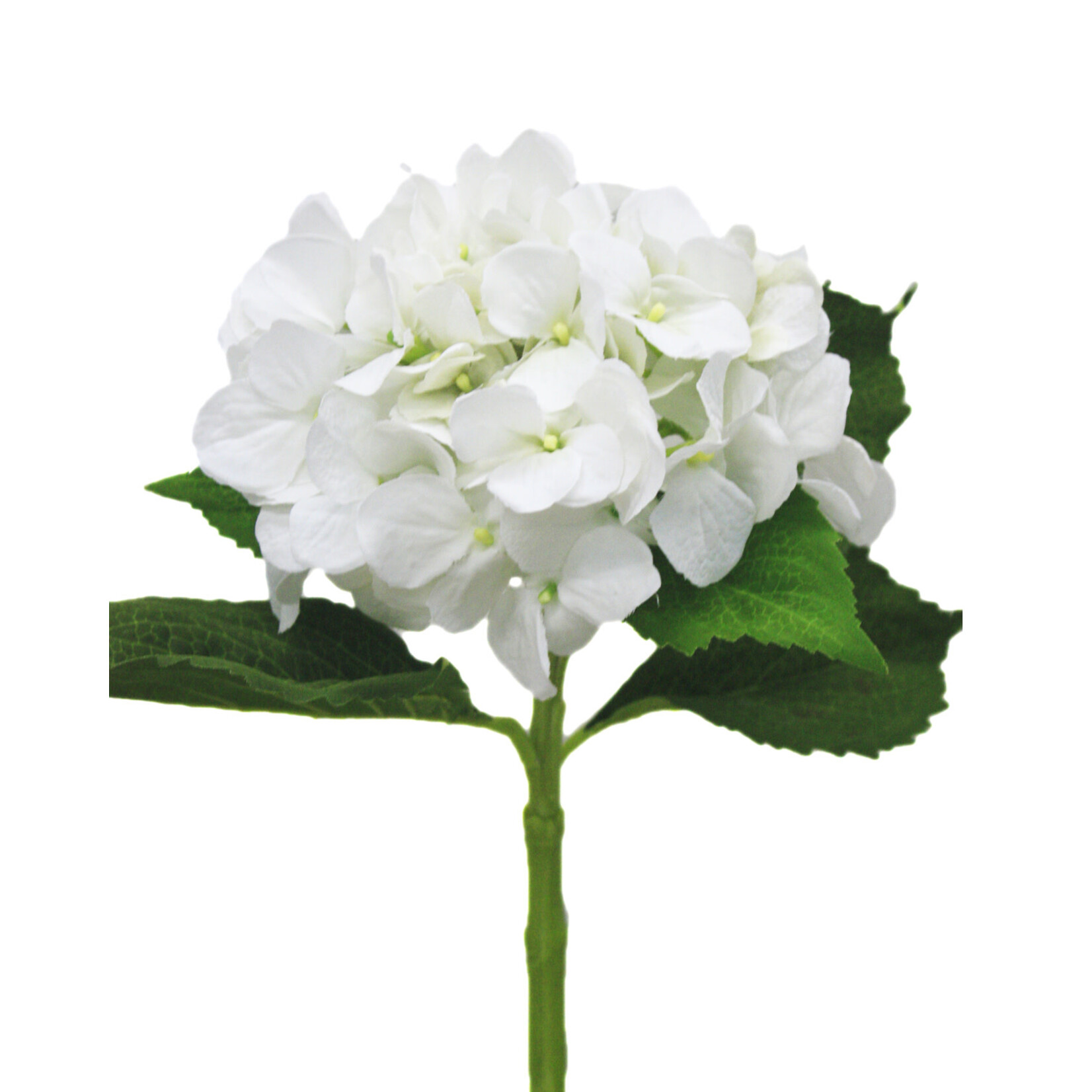 19" HYDRANGEA SPRAY WHITE