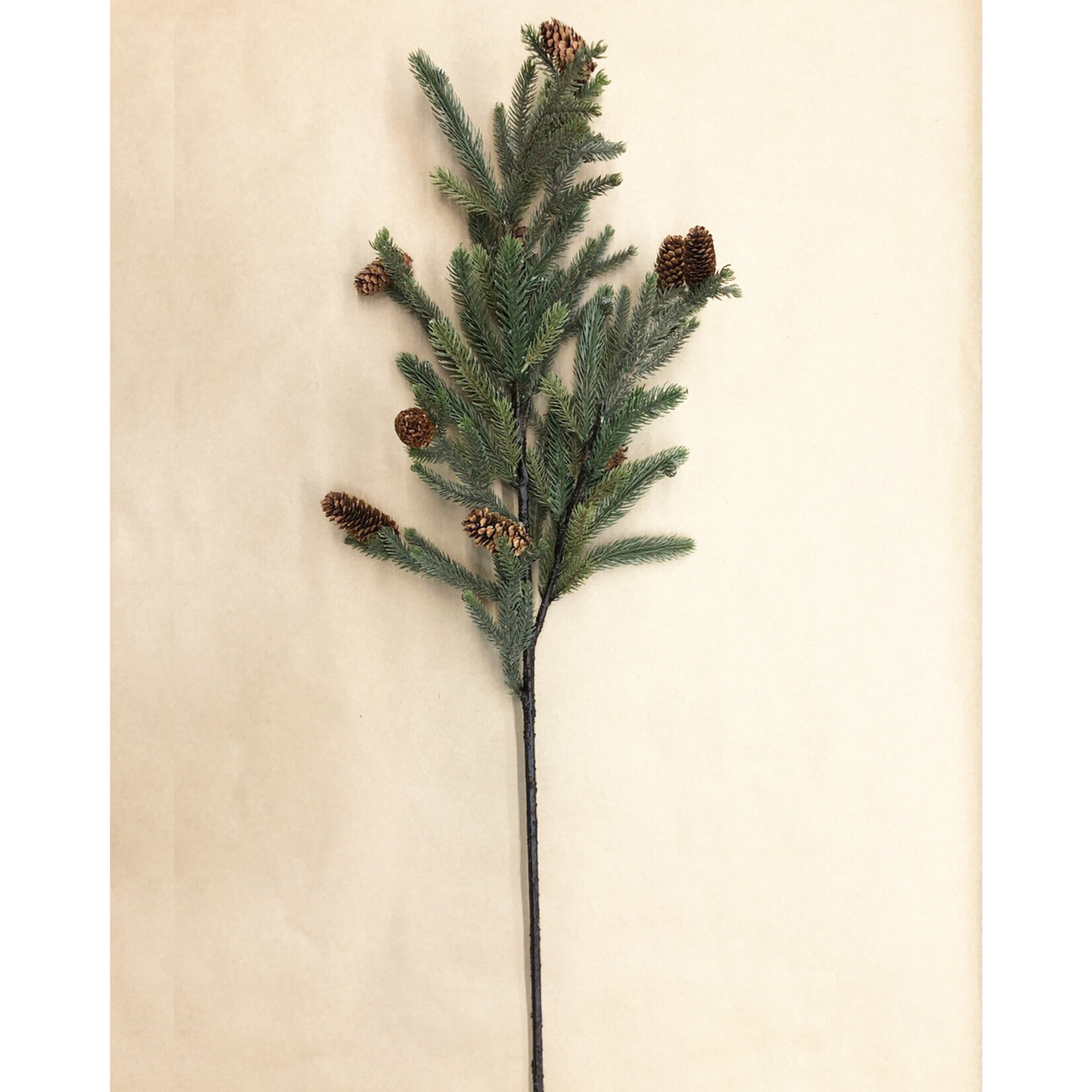 36" PINE BRANCH WITH CONE GREEN