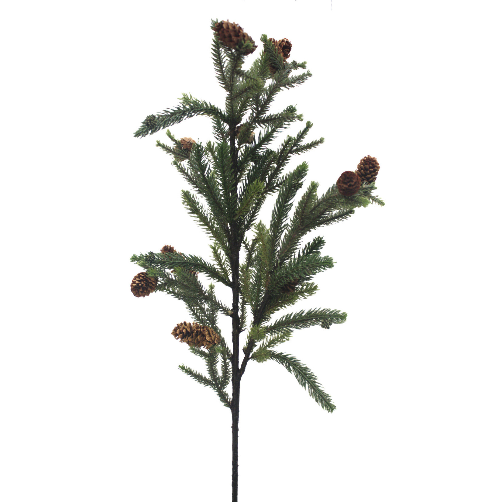 36" PINE BRANCH WITH CONE GREEN