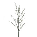 XBE221-CR: 48"BERRY BRANCH CREAM