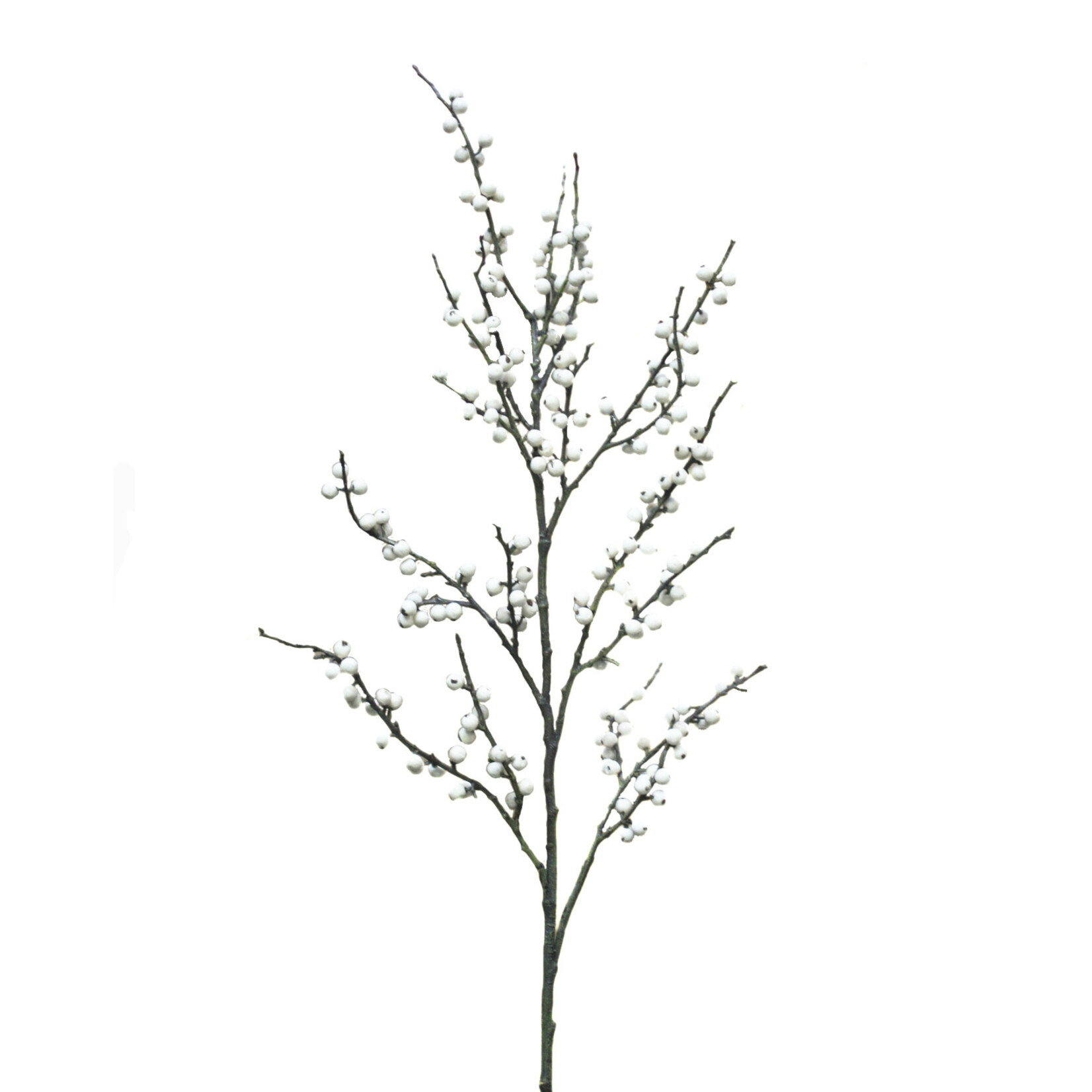 48"BERRY BRANCH CREAM