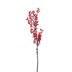 XBE179-RE: 32" BERRY BRANCH RED