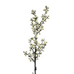 XBE179-CR: 32" BERRY BRANCH CREAM