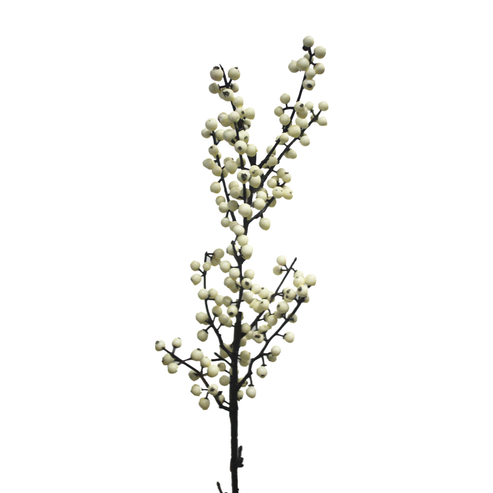 32" BERRY BRANCH CREAM