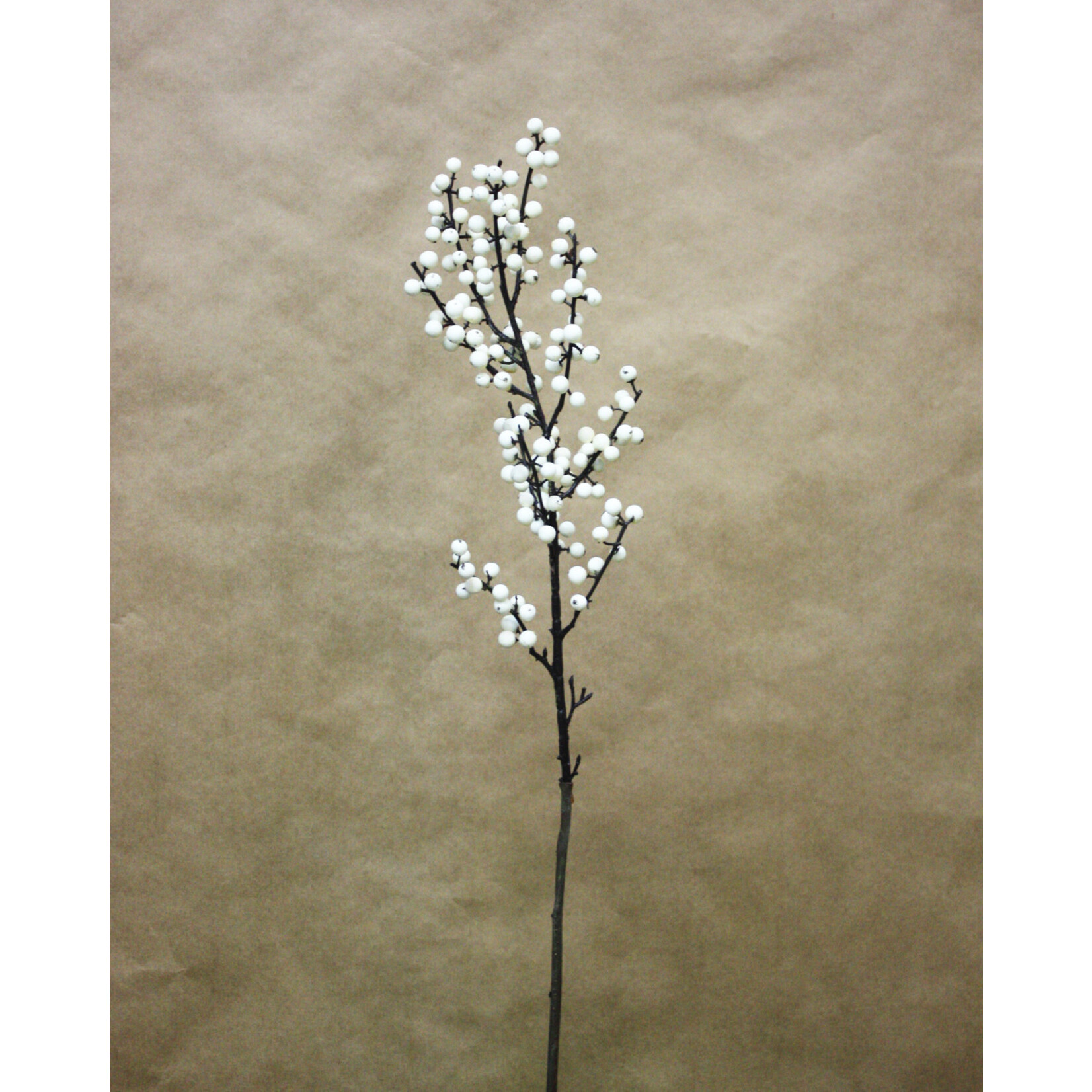 32" BERRY BRANCH CREAM