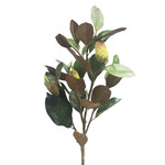 XGE1114B-GN: 37" MAGNOLIA BUD SPRAY GREEN