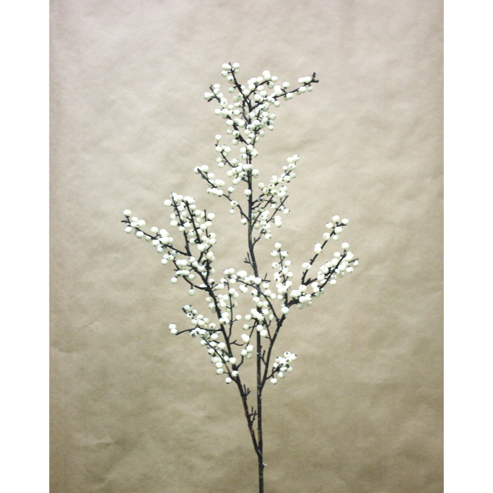 48" BERRY BRANCH CREAM